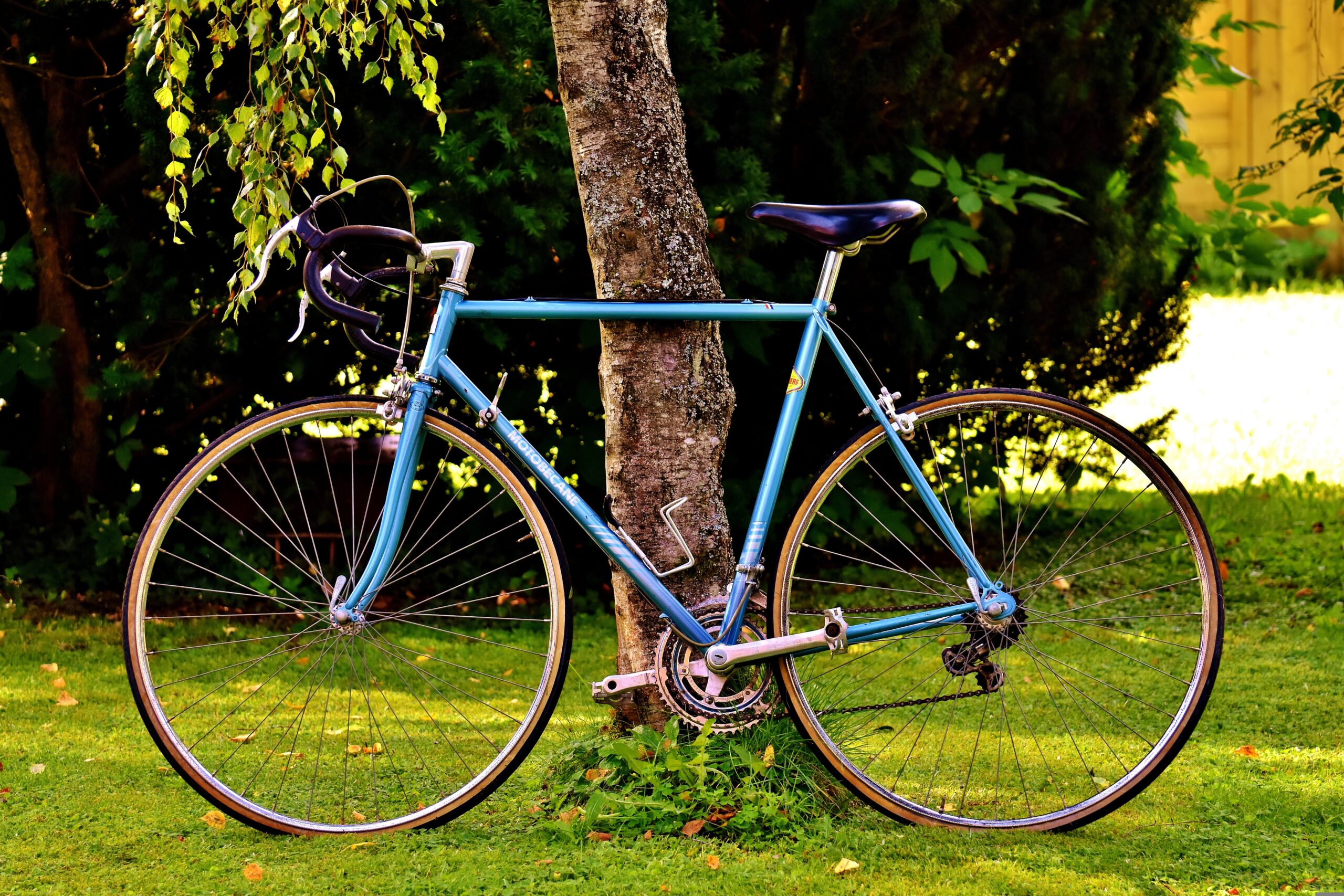 cycles-2293976