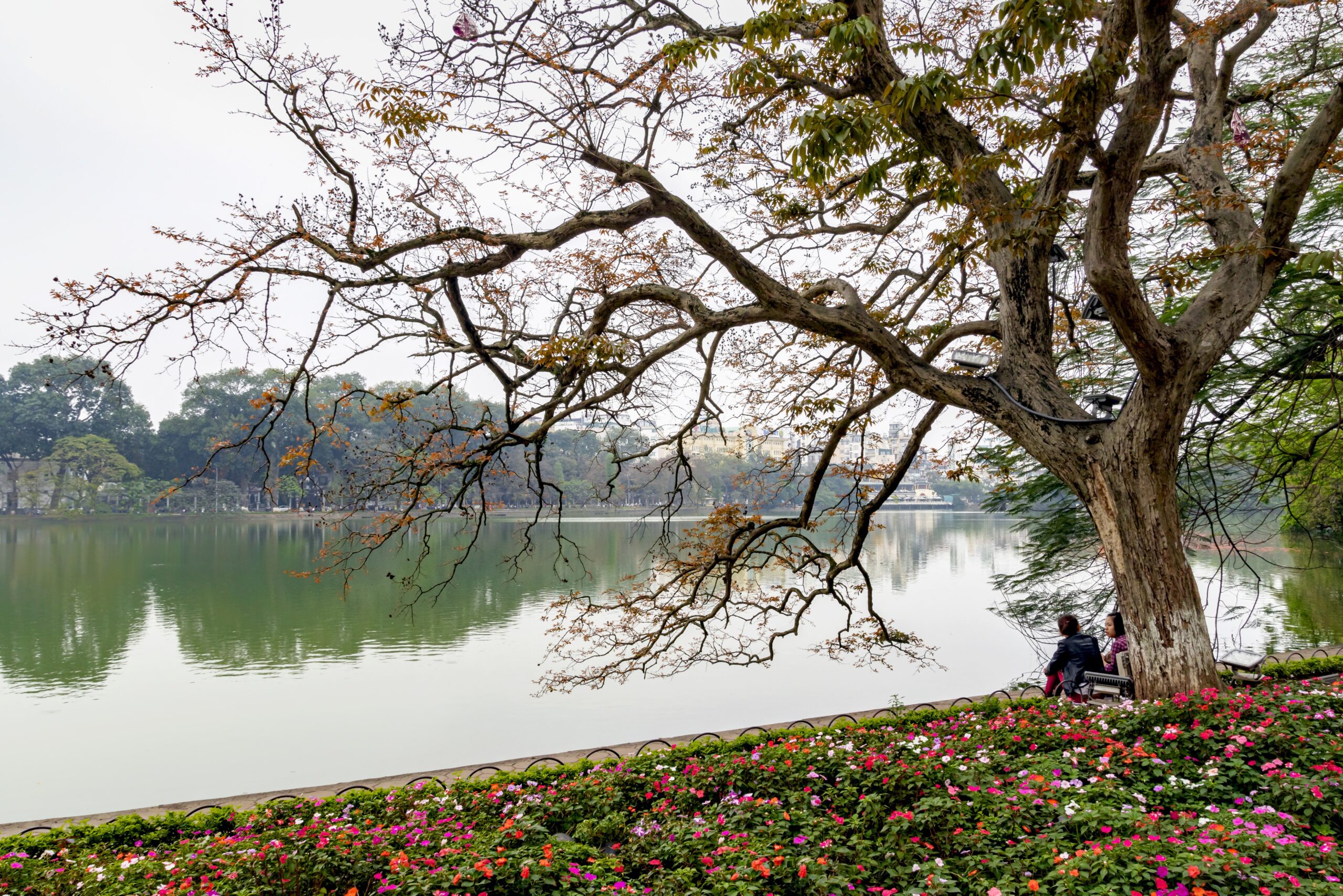 lake-5056562